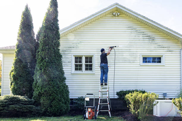 Best Best Pressure Washing Companies  in Balch Springs, TX