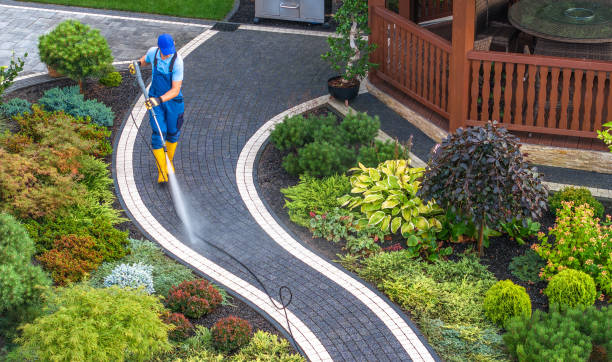 Best Affordable Pressure Washing  in Balch Springs, TX