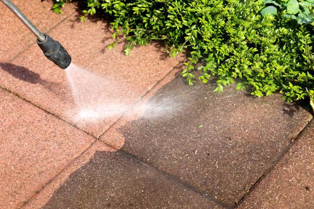 Best Roof Power Washing Services  in Balch Springs, TX
