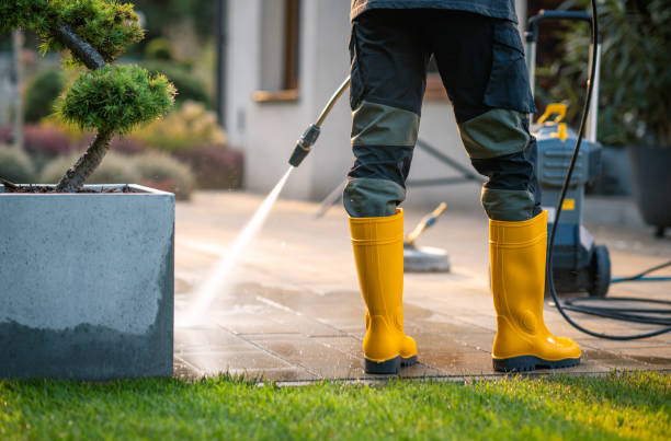 Best Residential Pressure Washing Services  in Balch Springs, TX